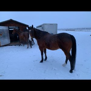 Meet your Posher, Ben